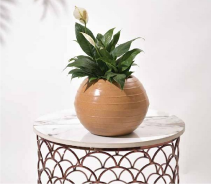 Rib Bowl (13 × 13 × 13 in)