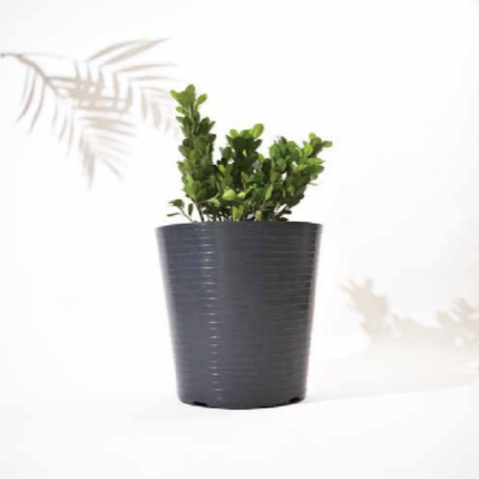 Rib Bucket Tower (14 × 14 × 14 in)