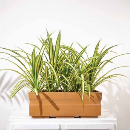 Trow (20 × 7 × 7 in)